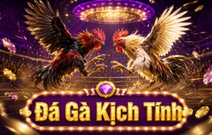 Sảnh Đá Gà sesdmdd